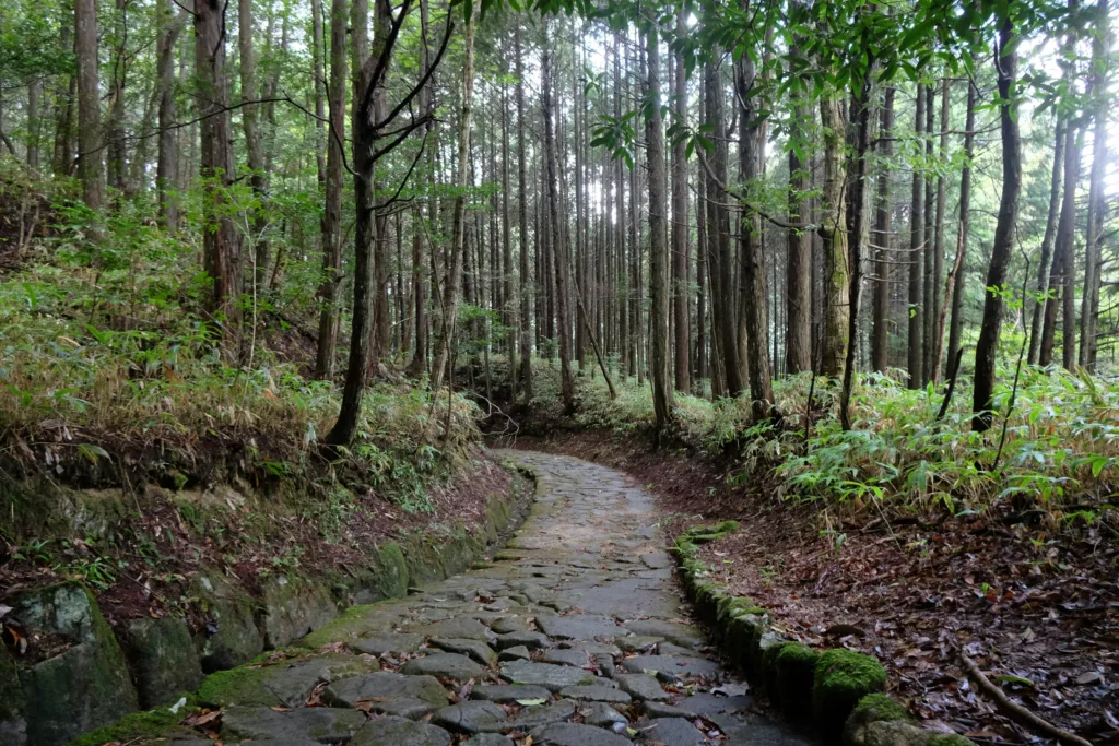 Nakatsugawa
