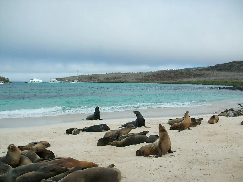 Galapagos