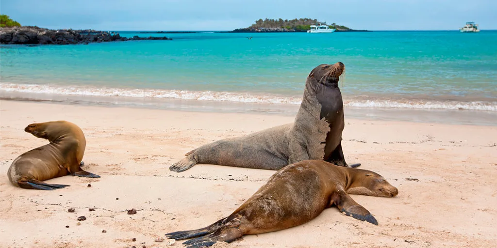 Galapagos