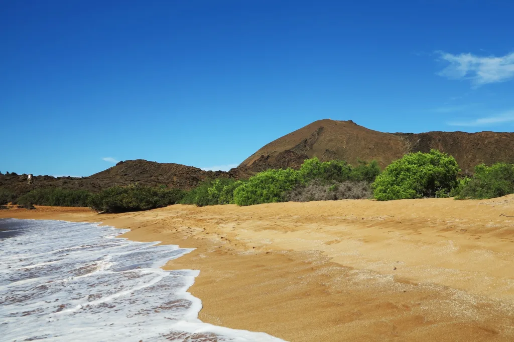 Galapagos