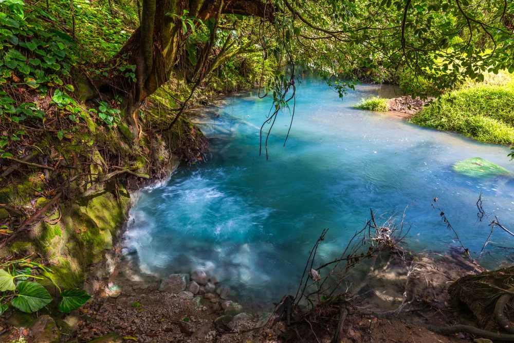Costa Rica cultuur: Het kloppende hart achter pura vida