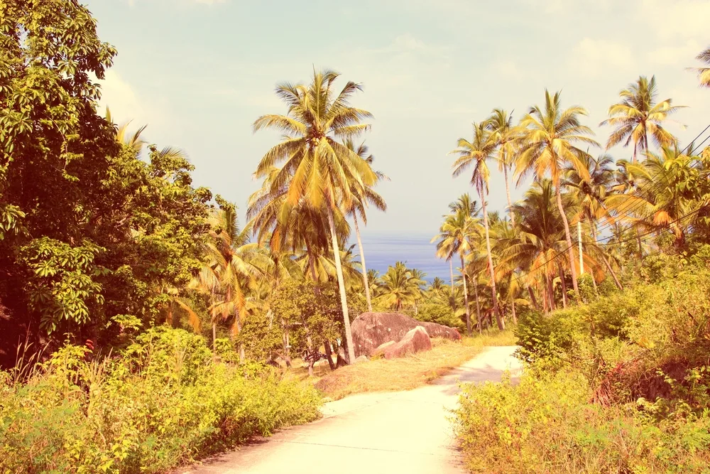 Jouw droomreis Thailand: stranden, cultuur en natuur op maat