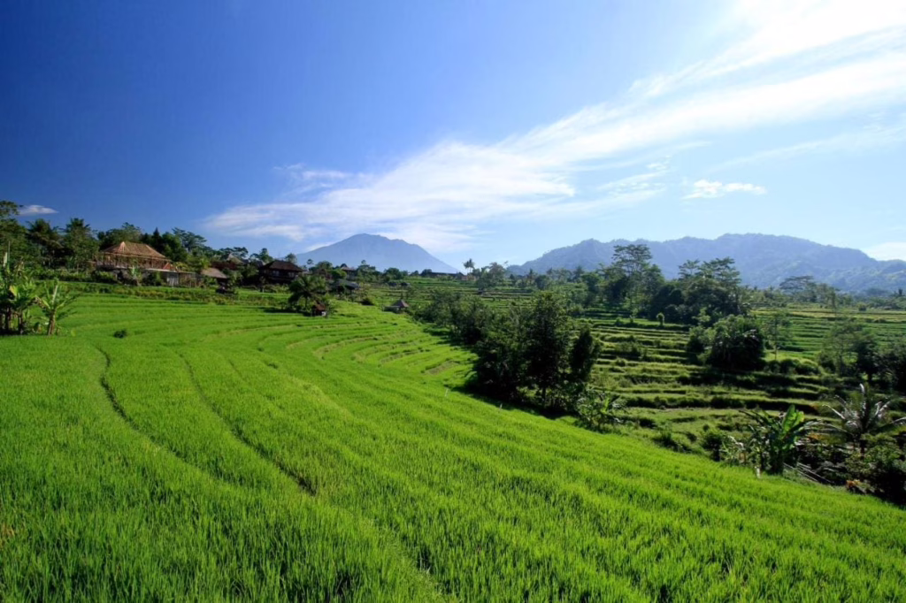 Sawah Indah Villa