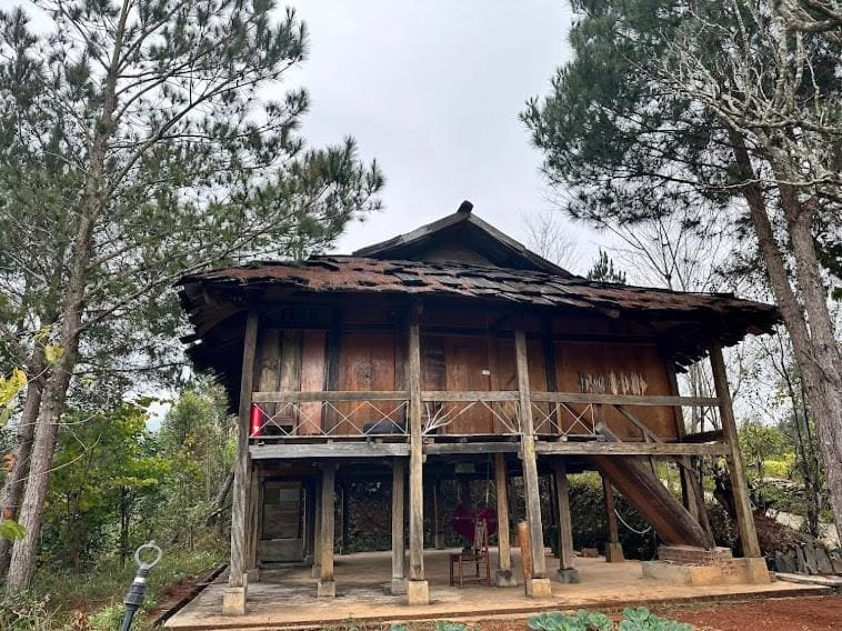 Mu Cang Chai Eco Lodge