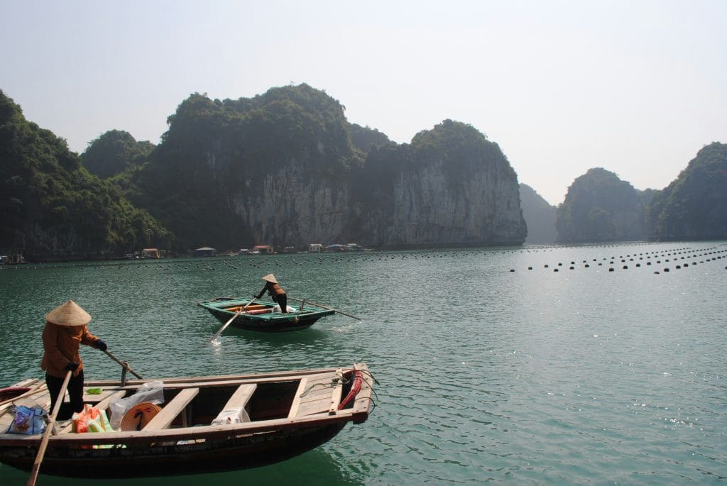 Bai Tu Long