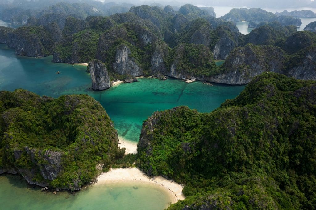 Bai Tu Long