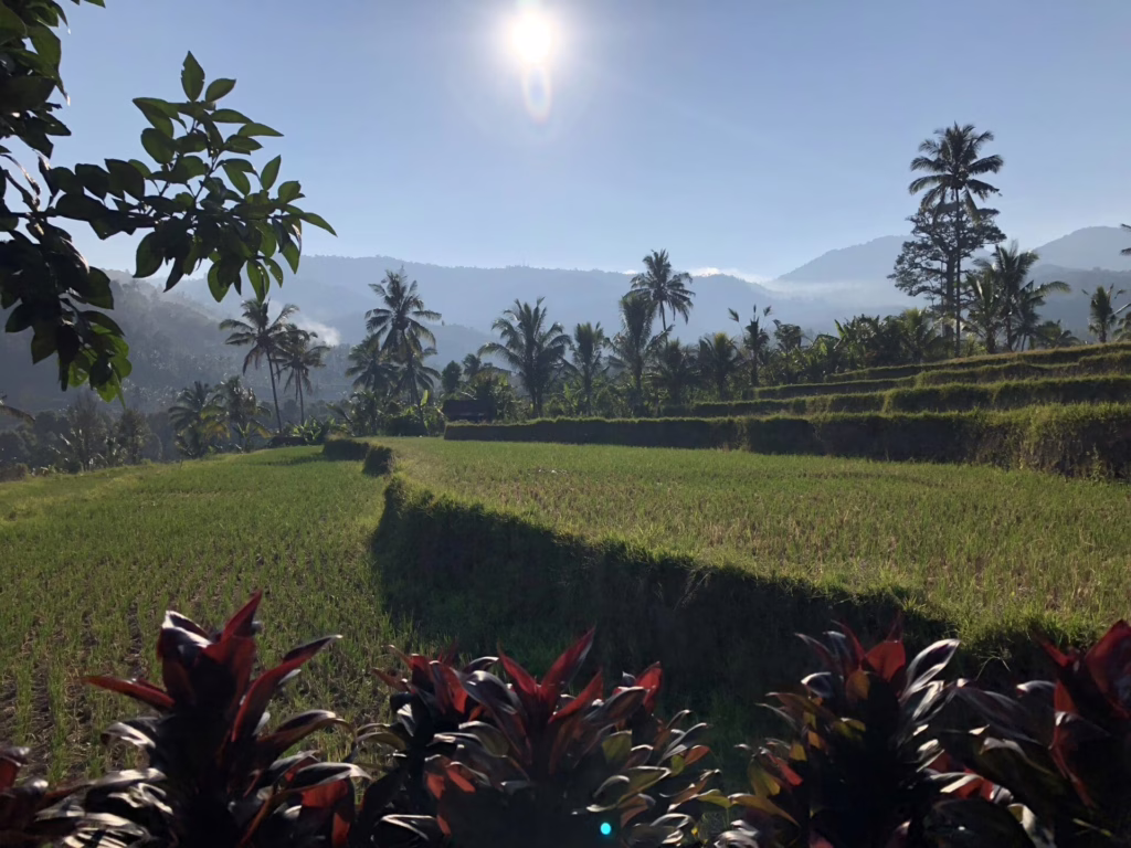 Ubud