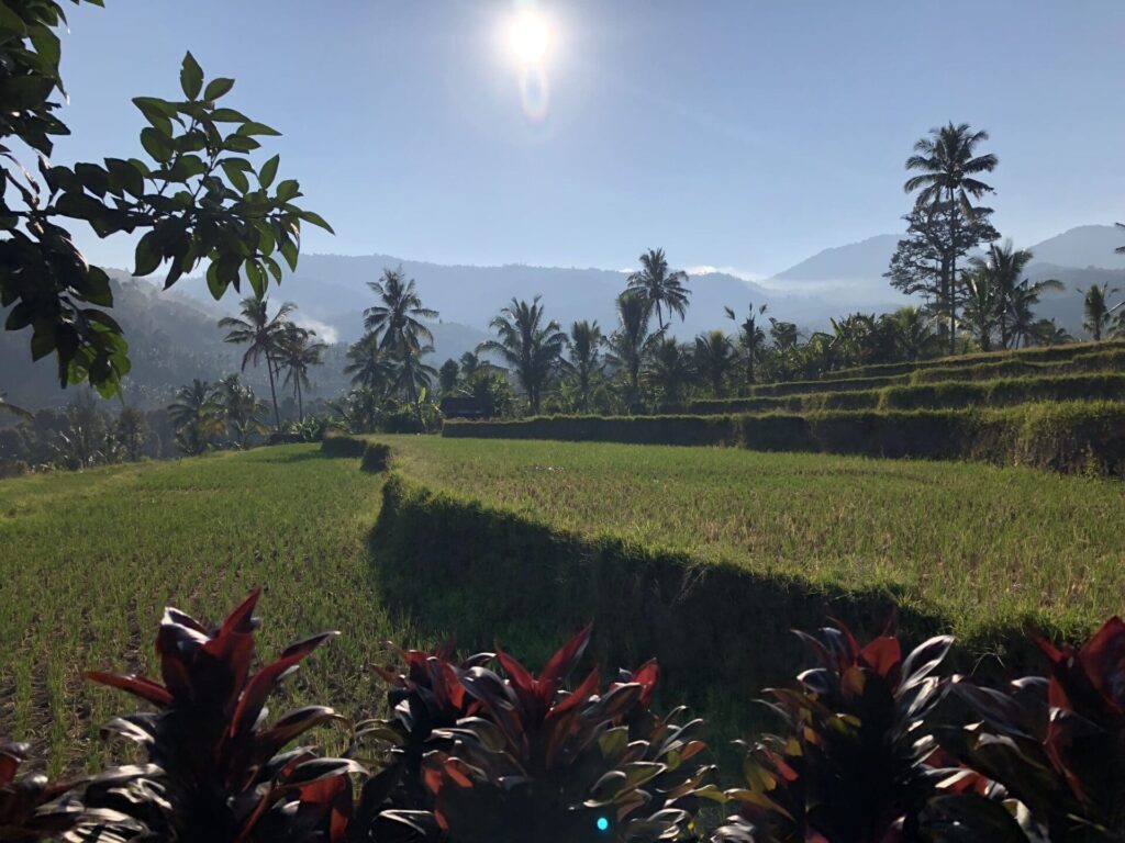 Ubud