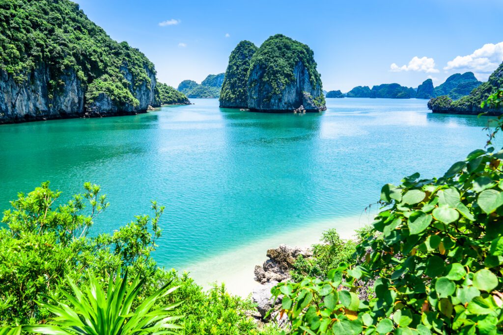 Bai Tu Long