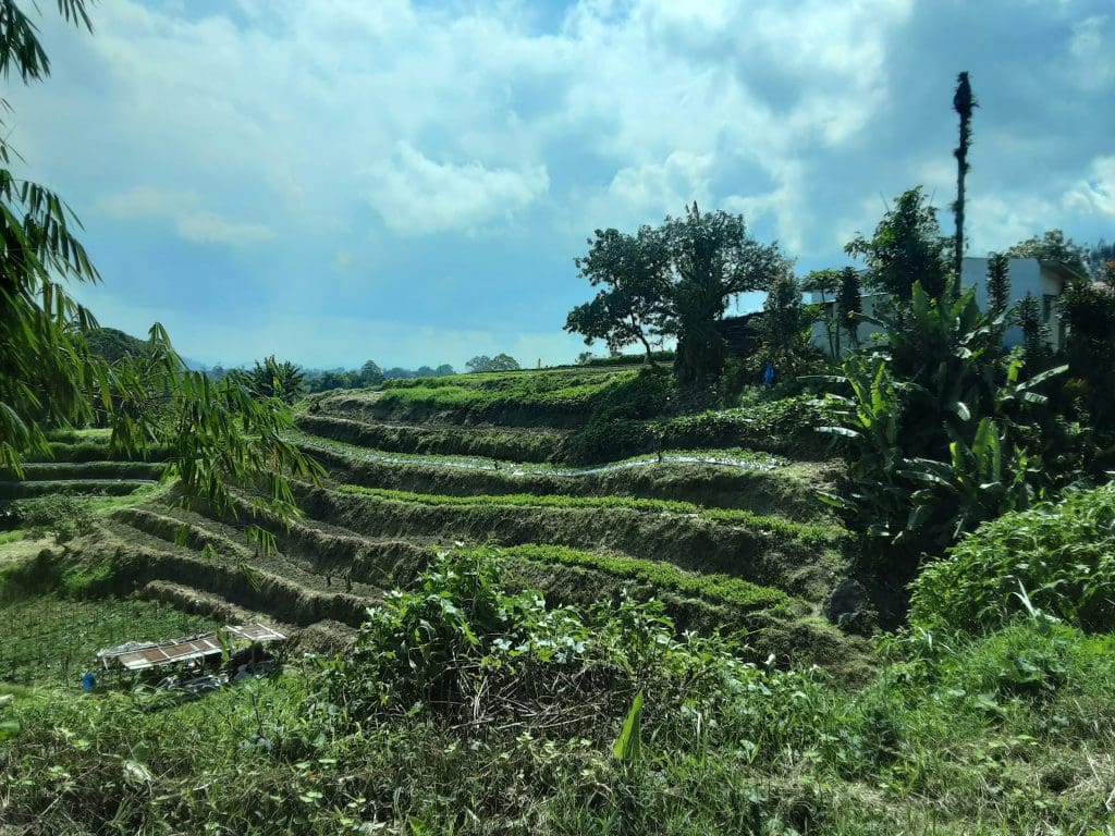 Berastagi