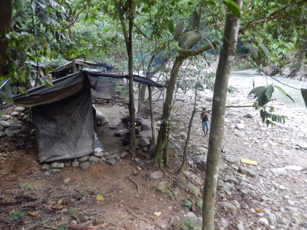 Jungle Tent