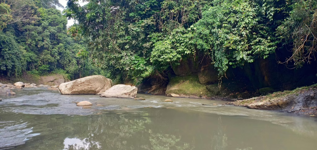 Bukit Lawang