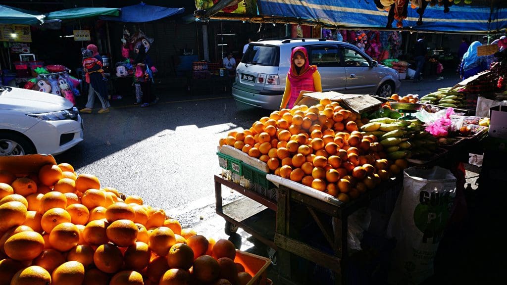 Cameron Highlands