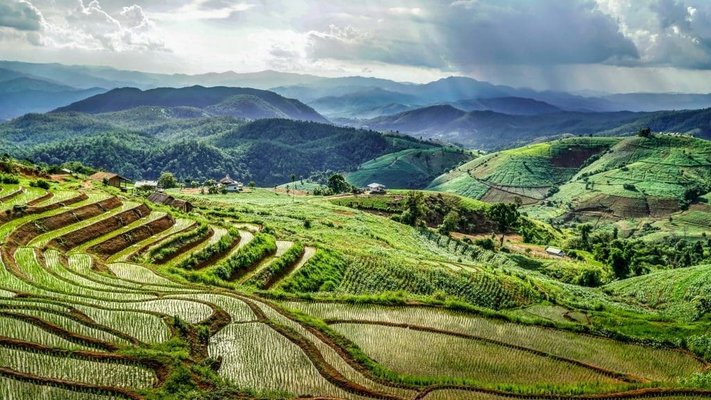 Chiang Mai
