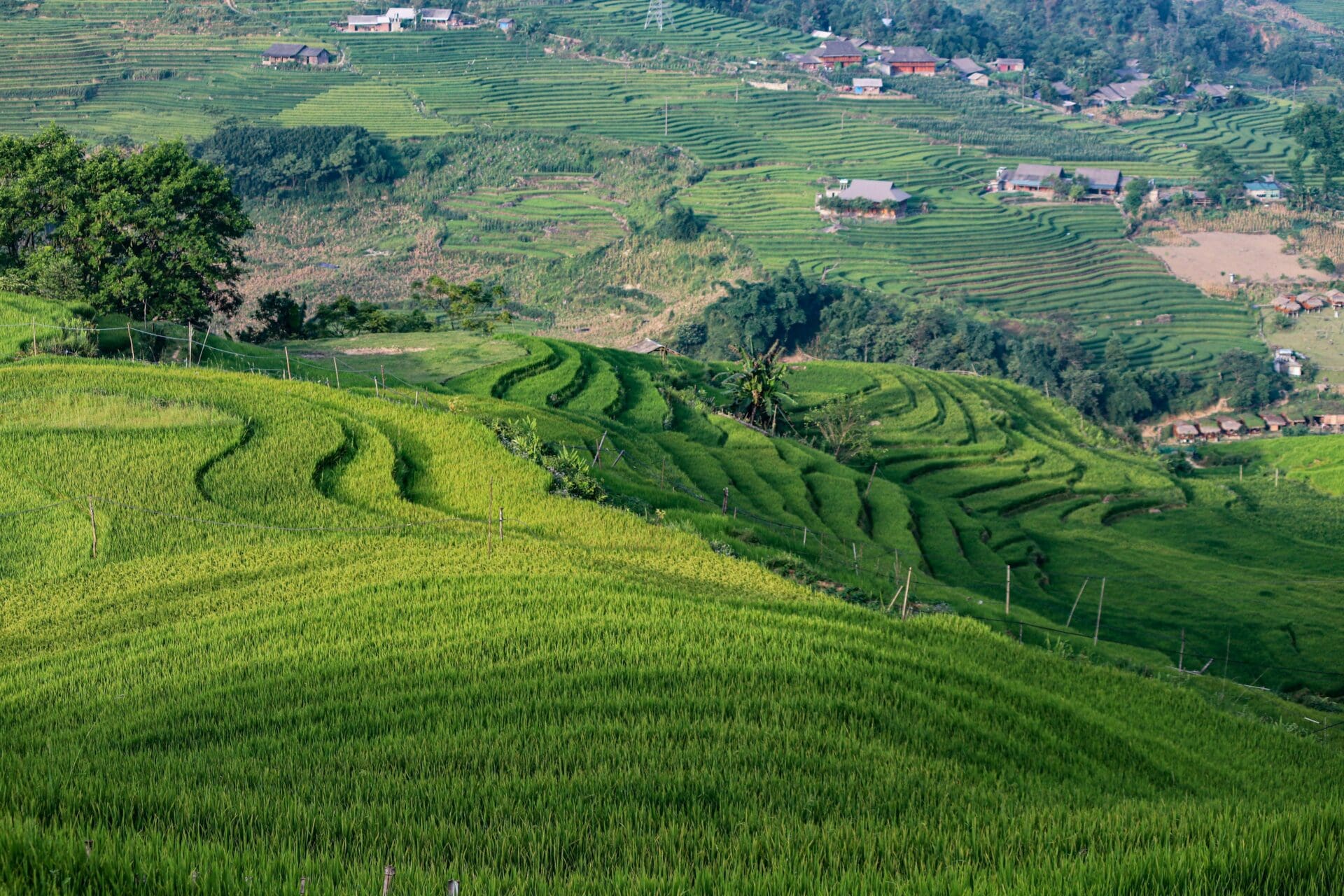 Chiang Mai