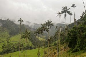 excursie image