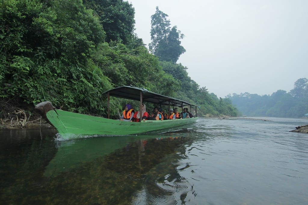 Endau Rompin