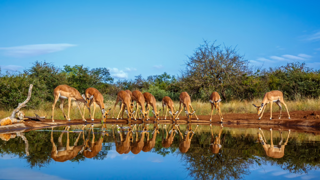eSwatini