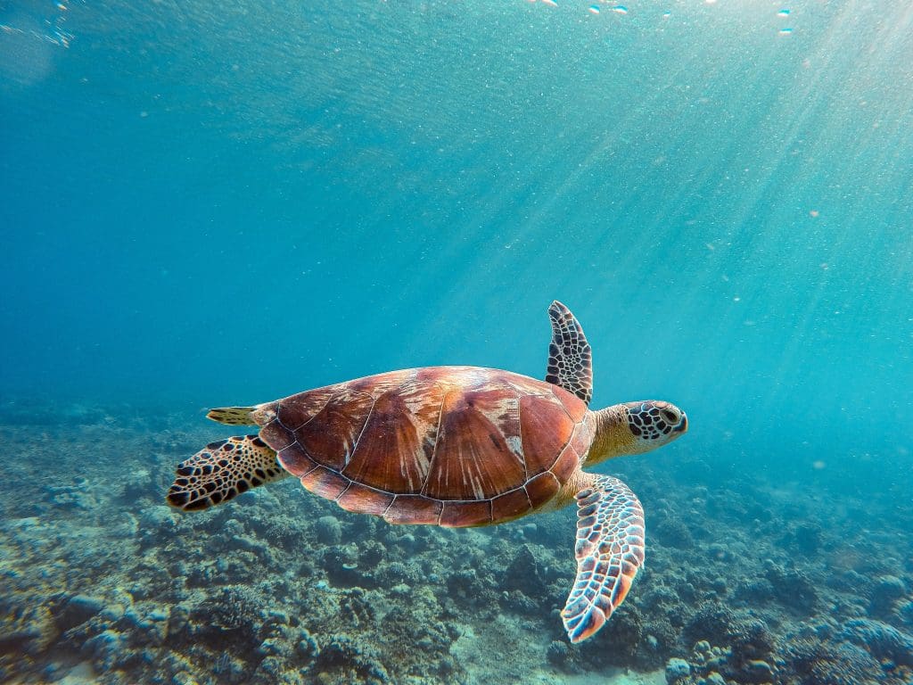 Gili Air