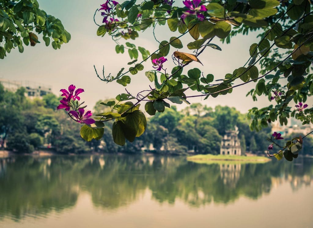 Hanoi