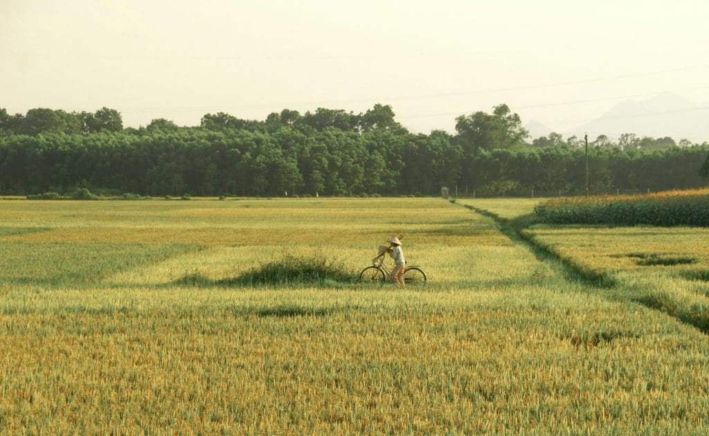 Hué