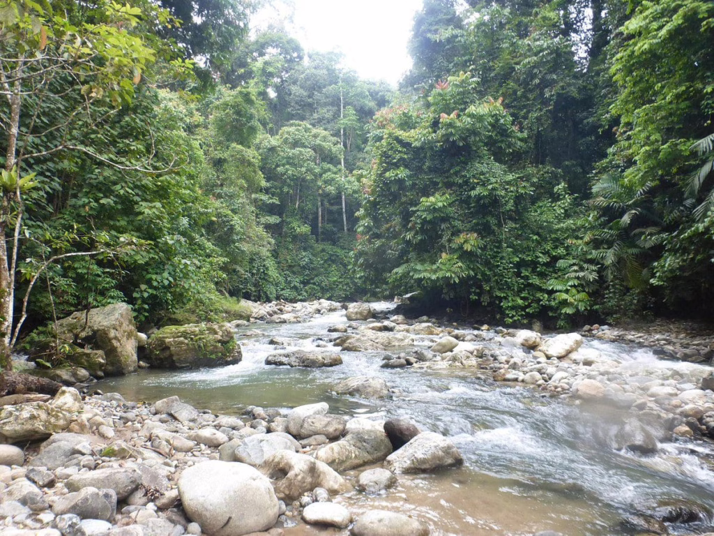 Ketambe