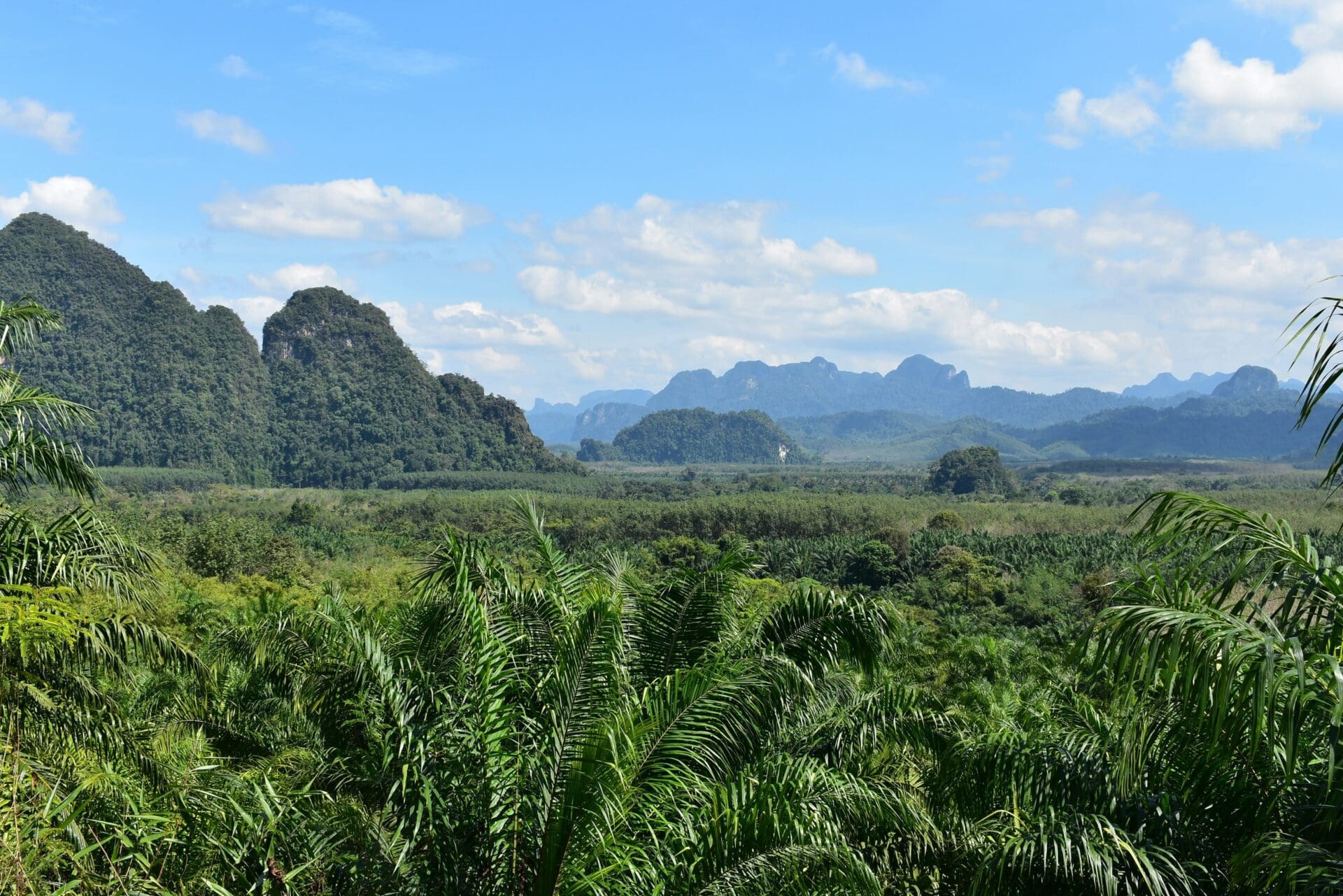 Khao Sok