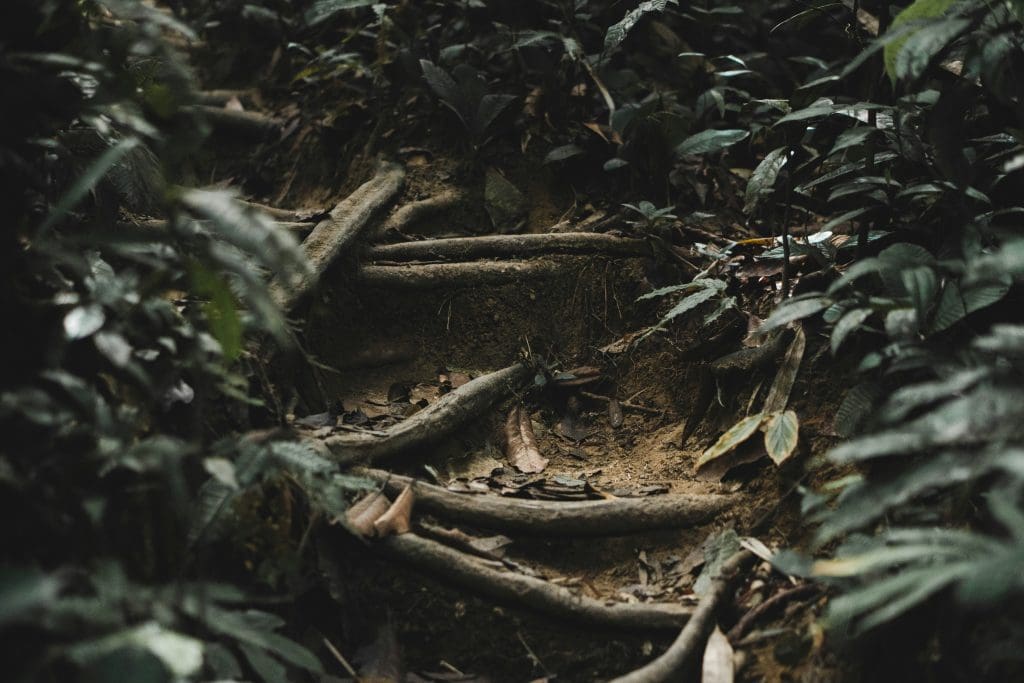 Khao Sok
