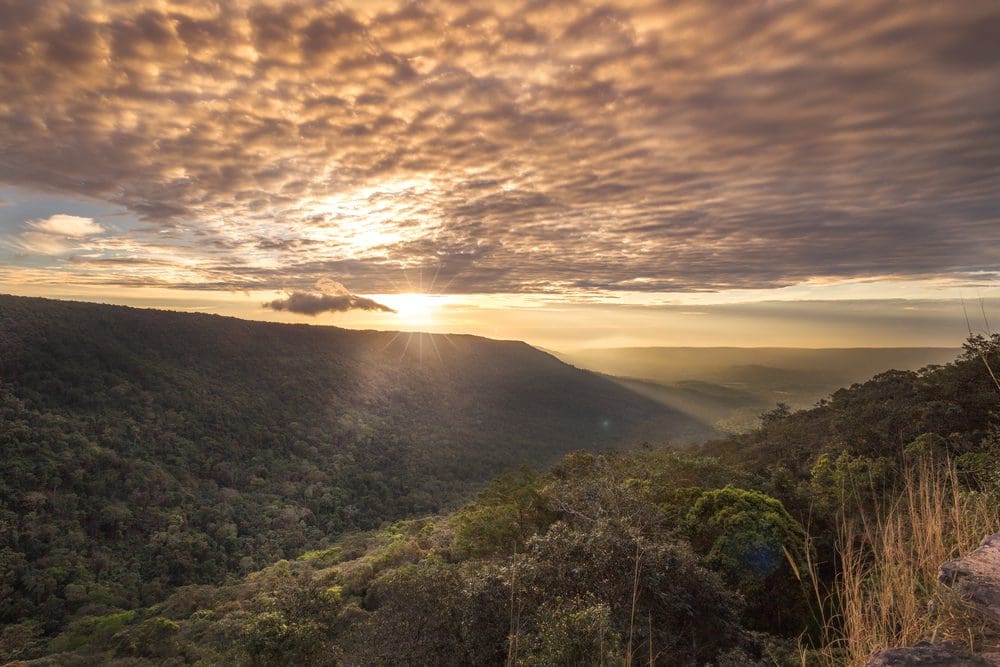 Khao Yai Nationaal Park