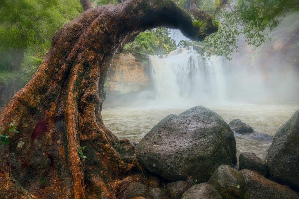 Khao Yai Nationaal Park