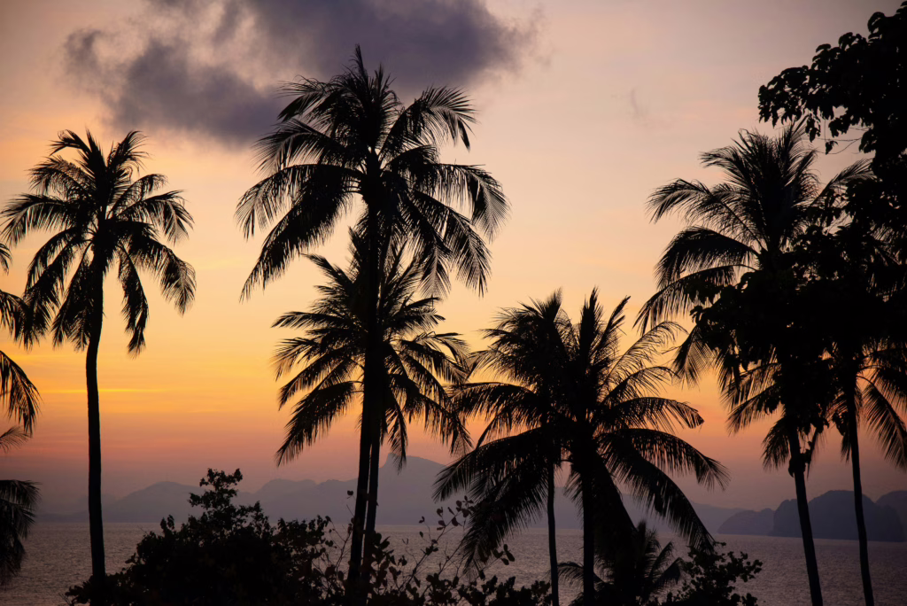 Koh Yao Noi