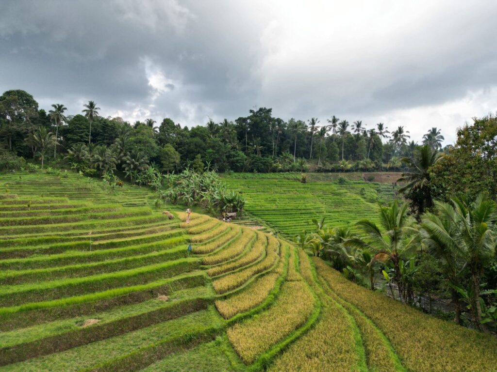 Munduk