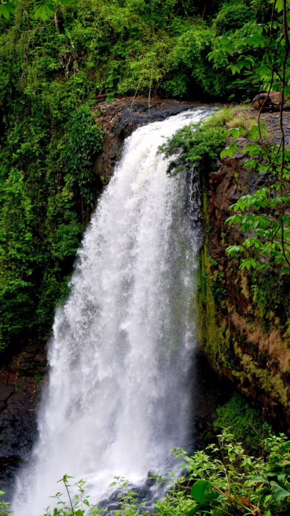 Mondulkiri