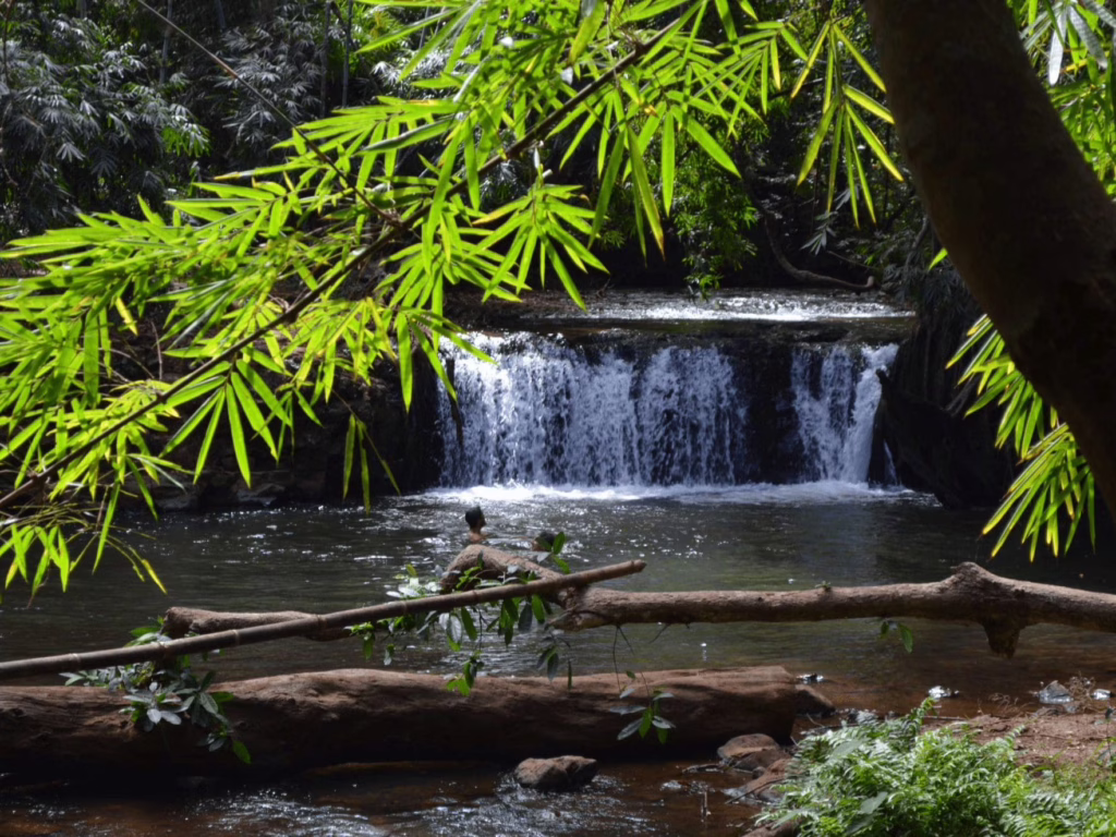 Mondulkiri