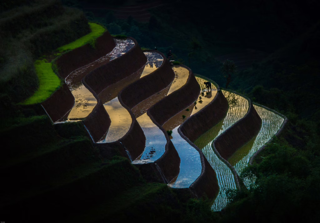 Mu Cang Chai