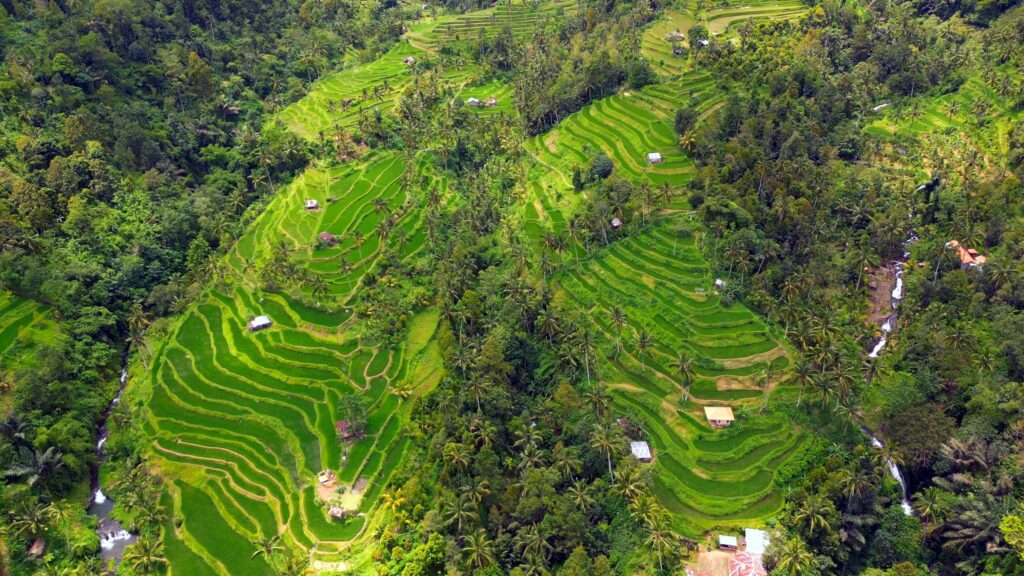 Munduk