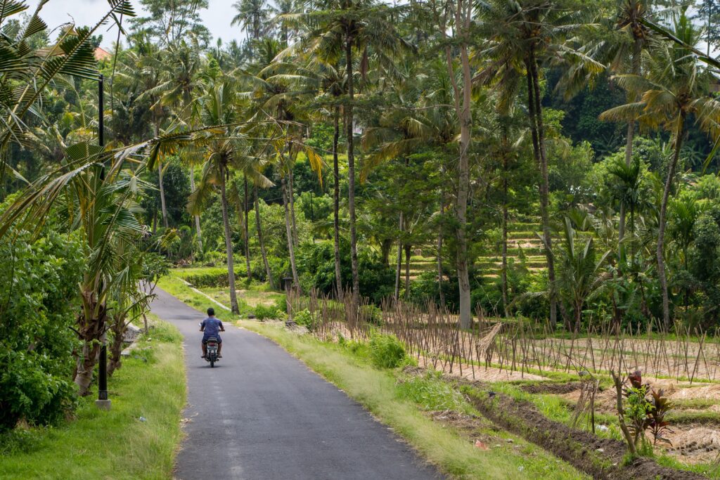 Munduk