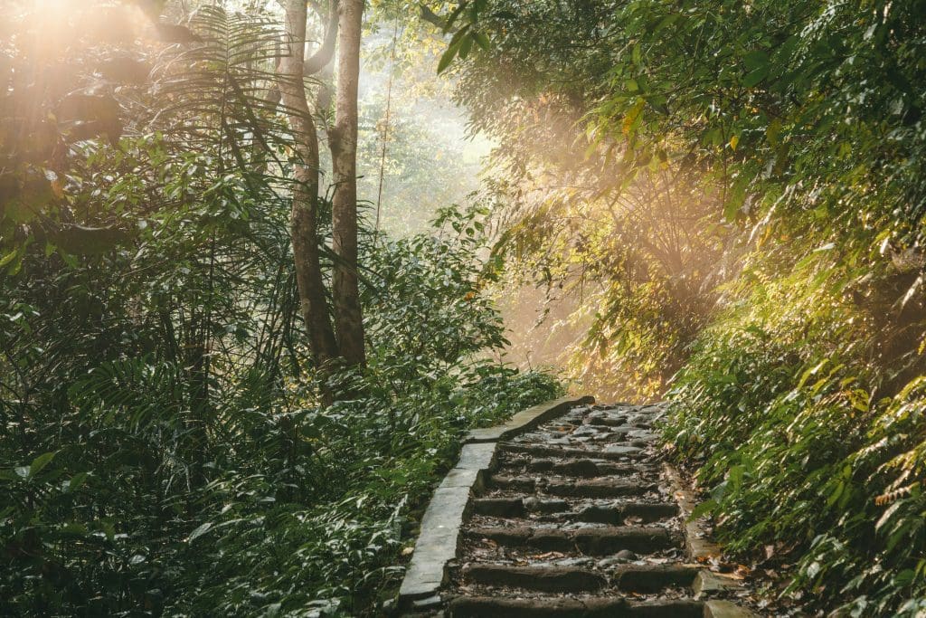 Tetebatu
