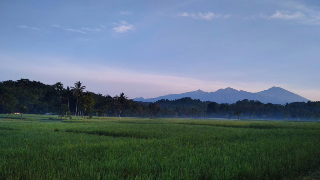 Tetebatu
