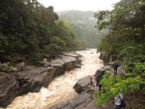 excursie image