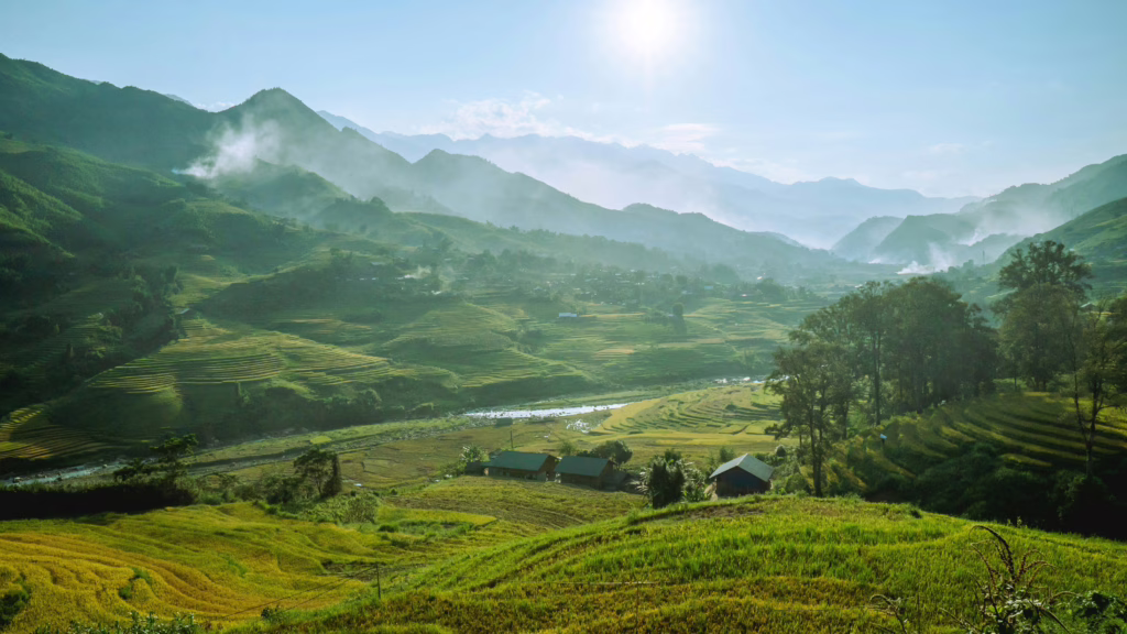 Sapa