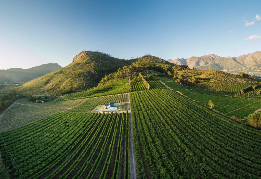 Stellenbosch
