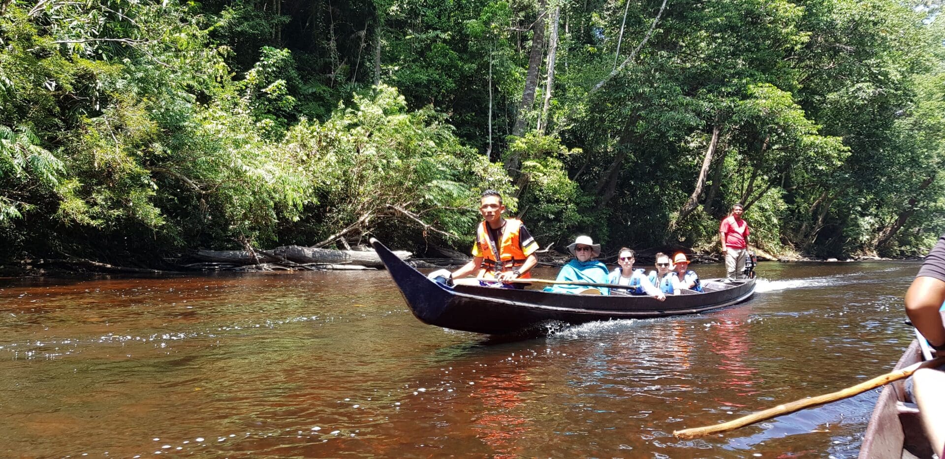 Taman Negara