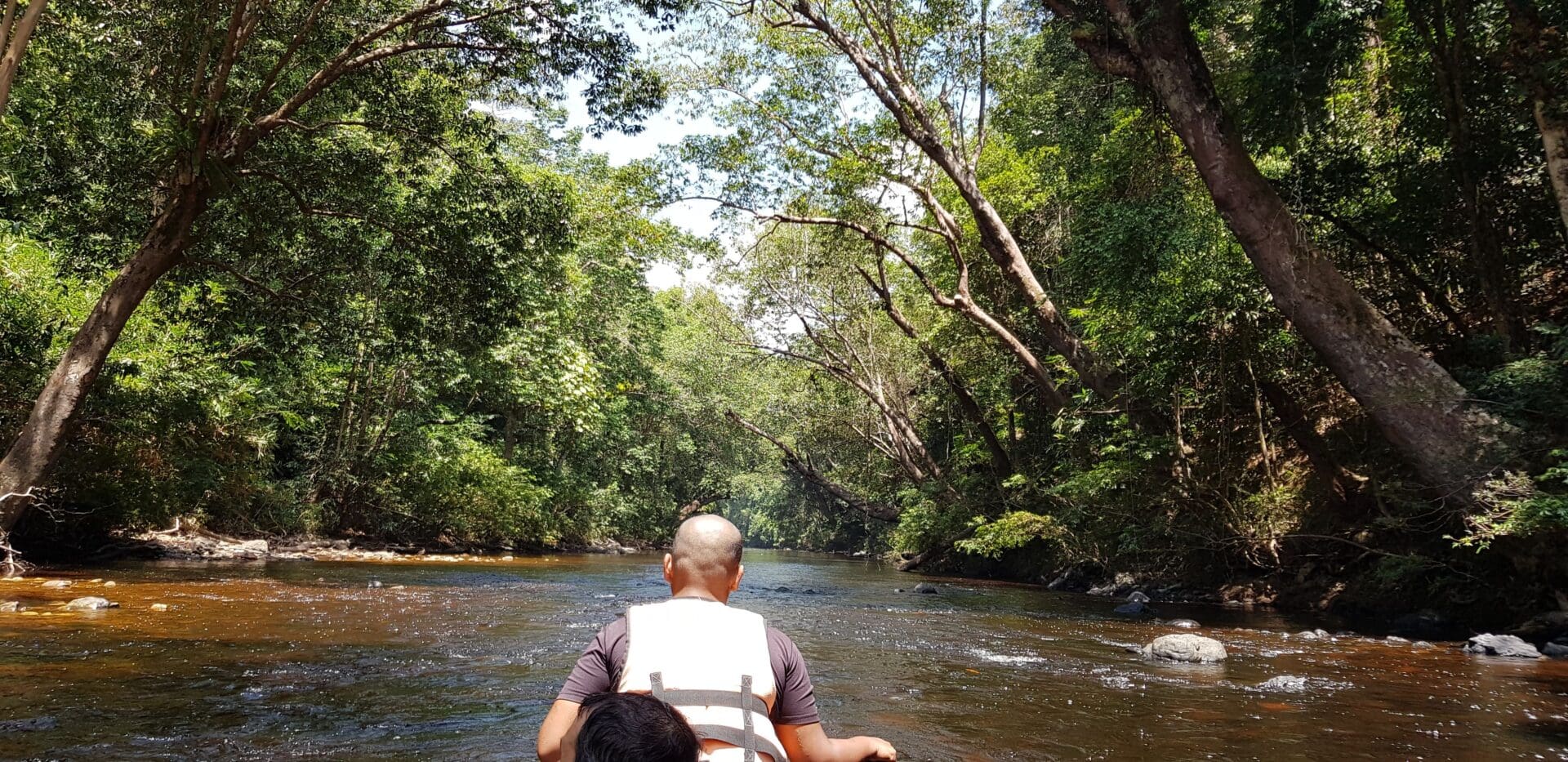 Taman Negara