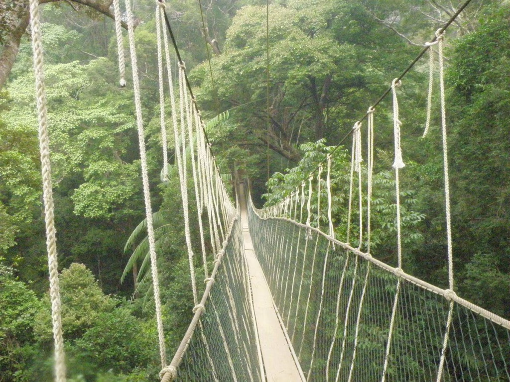 Taman Negara