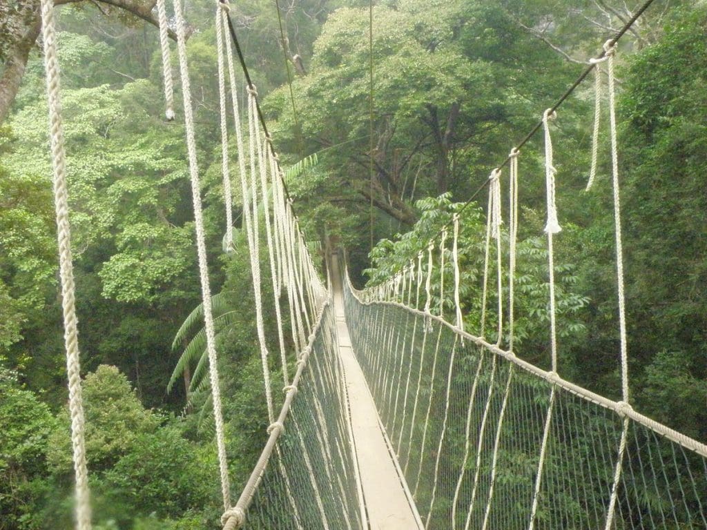 Taman Negara