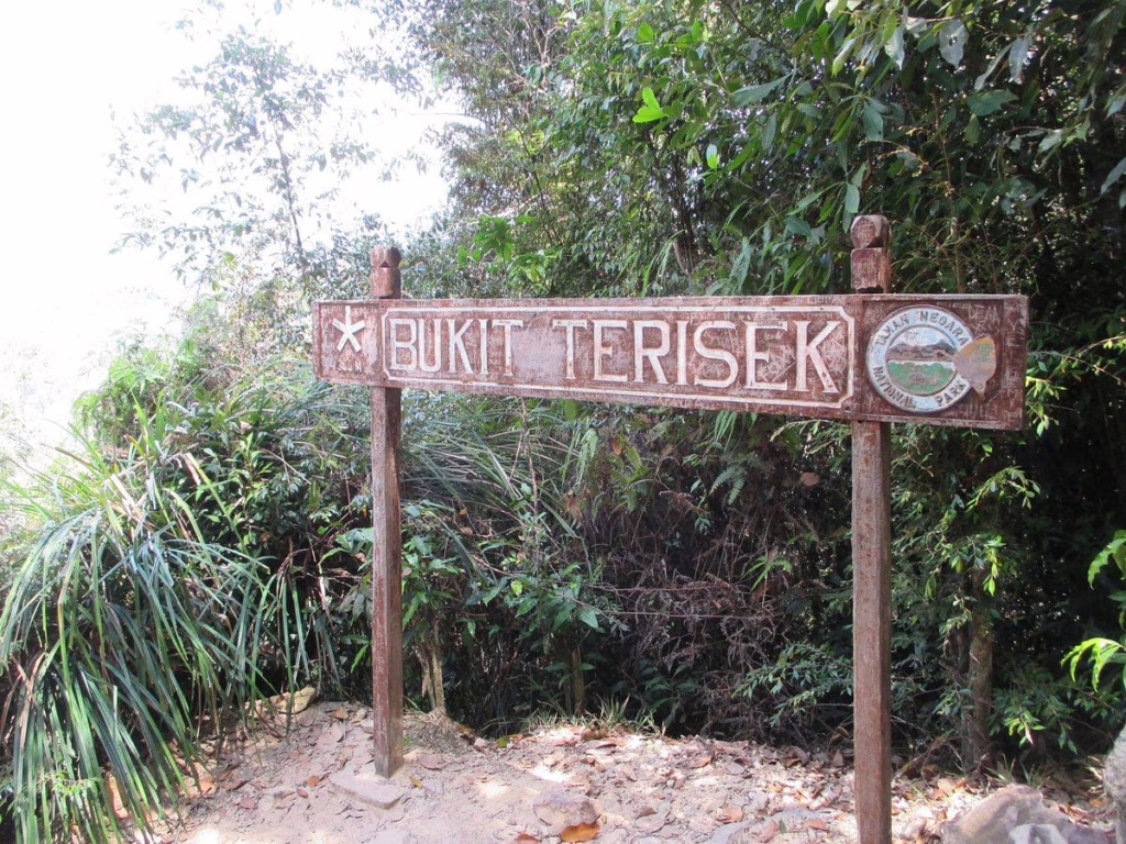 Taman Negara