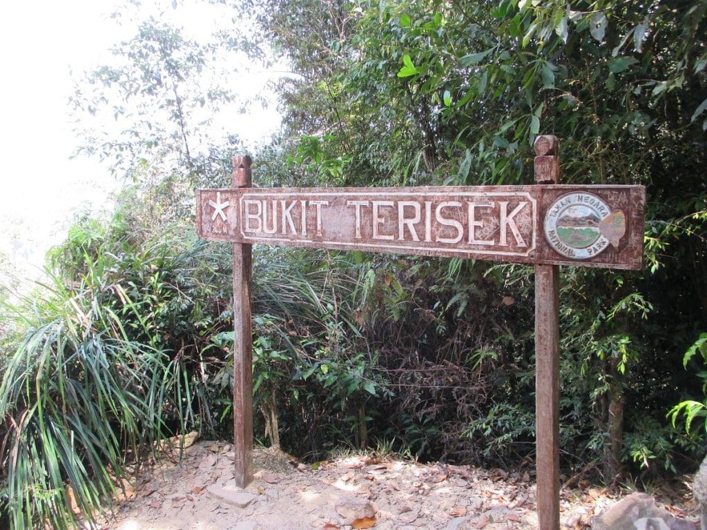 Taman Negara