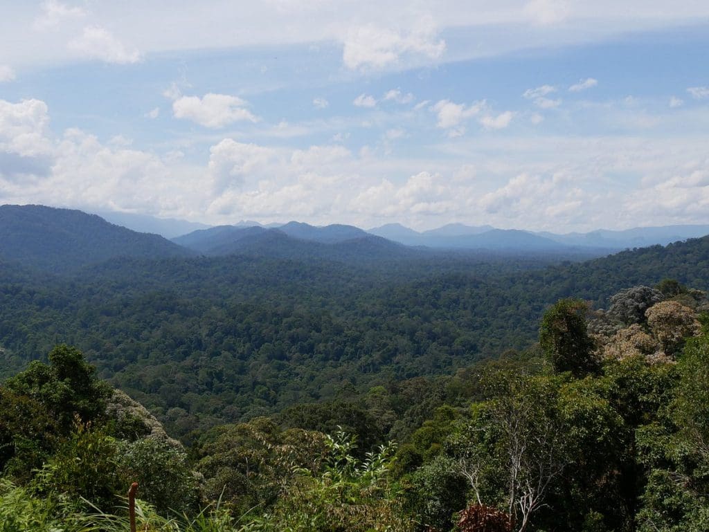 Taman Negara