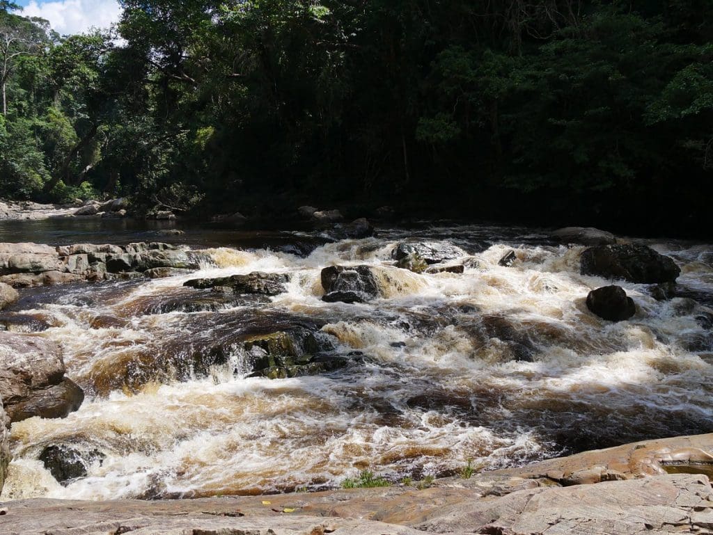 Taman Negara